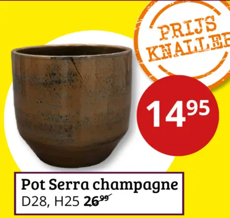 Aanbieding: Pot Serra champagne