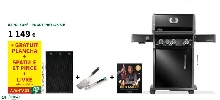 Offre: Rogue pro 425 sib