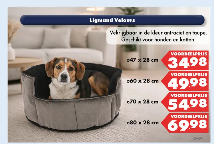 Aanbieding: Ligmand Velours