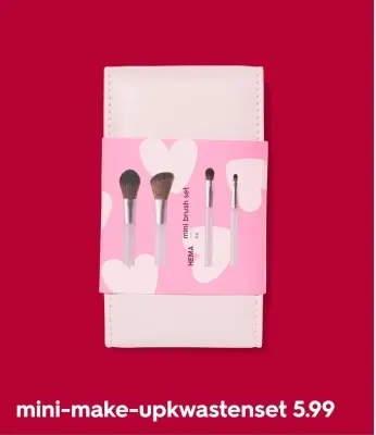 Aanbieding: mini-make-upkwastenset