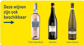 Aanbieding: Pinot Grigio Blush