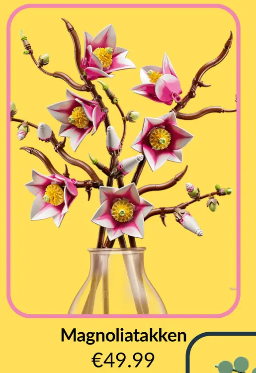 Aanbieding: Magnoliatakken