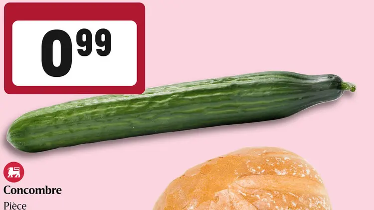 Offre: Concombre