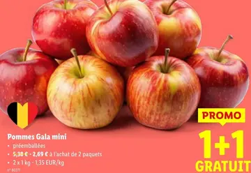 Offre: Pommes Gala mini