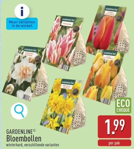 Promotie: Bloembollen