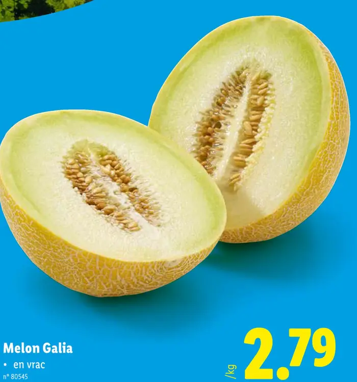 Offre: Melon Galia