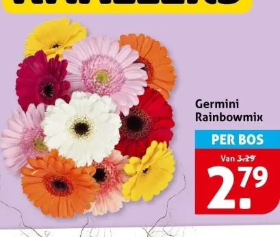 Aanbieding: Germini Rainbowmix