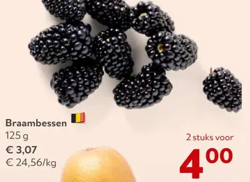 Aanbieding: Braambessen