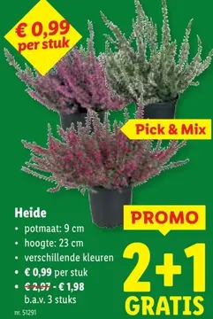 Aanbieding: Heide
