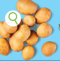 Offre: Pommes de terre