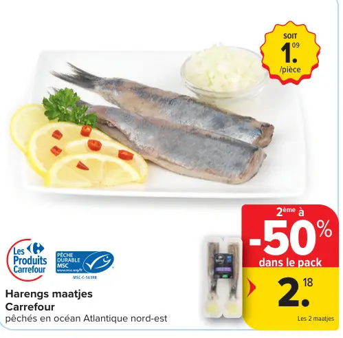Offre: Harengs maatjes