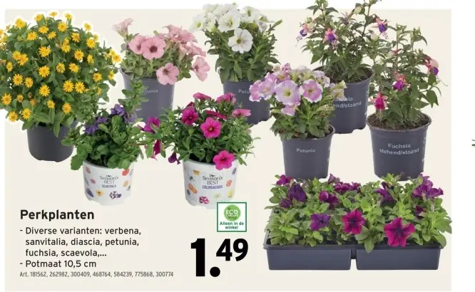 Promotie: Perkplanten