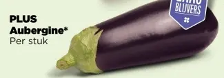 Aanbieding: Aubergine