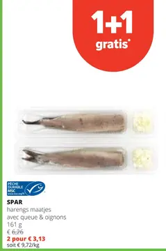 Offre: harengs maatjes avec queue & oignons