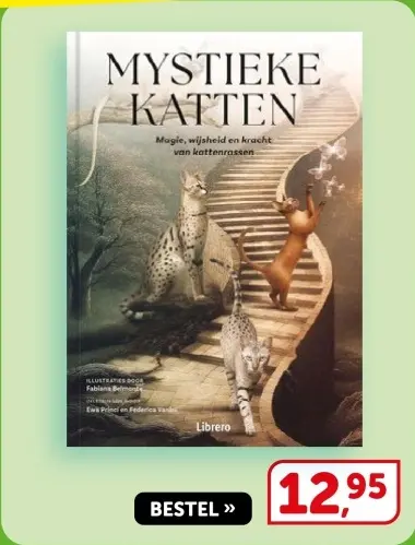 Aanbieding: Boek - Mystieke katten