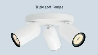 Offre: Triple spot Pongee