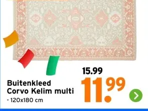 Aanbieding: Buitenkleed Corvo Kelim multi