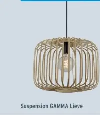 Offre: Suspension GAMMA Lieve