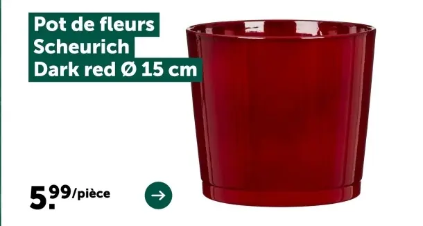 Offre: Pot de fleurs