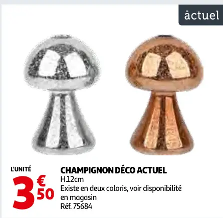 Offre: Champignon déco actuel