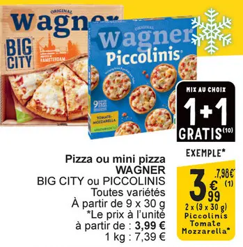 Offre: Pizza ou mini pizza
