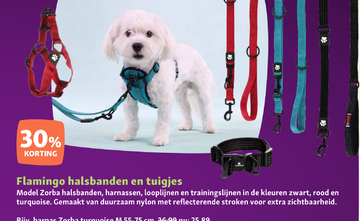 Aanbieding: Flamingo halsbanden en tuigjes Zorba turquois