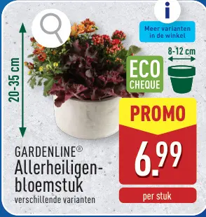 Promotie: Allerheiligenbloemstuk