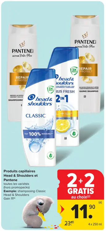 Offre: Shampooing
