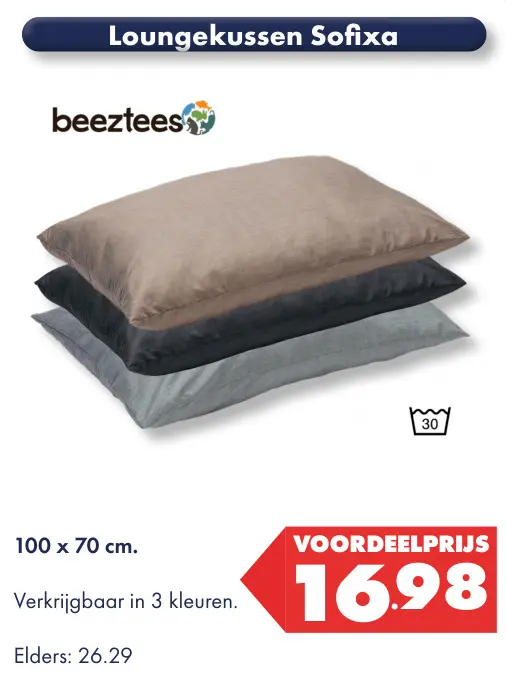 Aanbieding: Loungekussen Sofixa