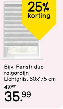 Aanbieding: Fenstr duo-rolgordijn lichtgrijs - 60x175 cm