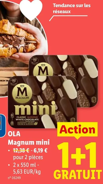 Offre: Magnum mini