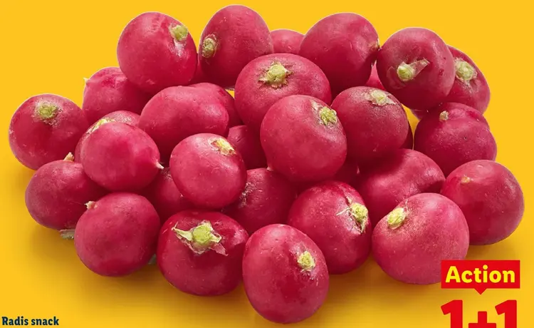 Offre: Radis snack