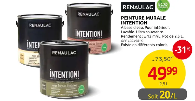 Offre: Peinture murale intention