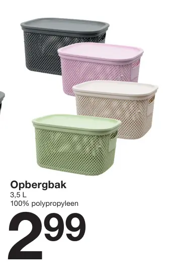 Promotie: Opbergbak