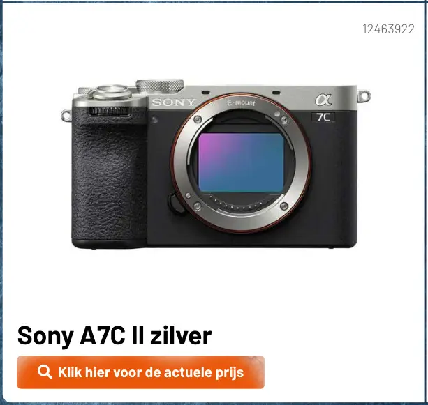 Aanbieding: A7C II zilver
