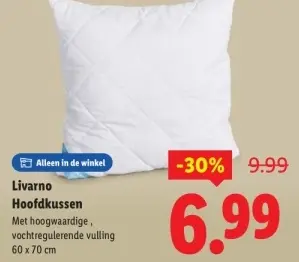 Aanbieding: Hoofdkussen