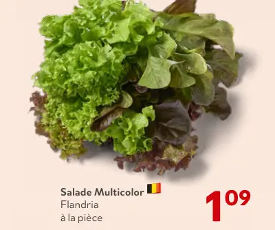 Offre: Salade Multicolor