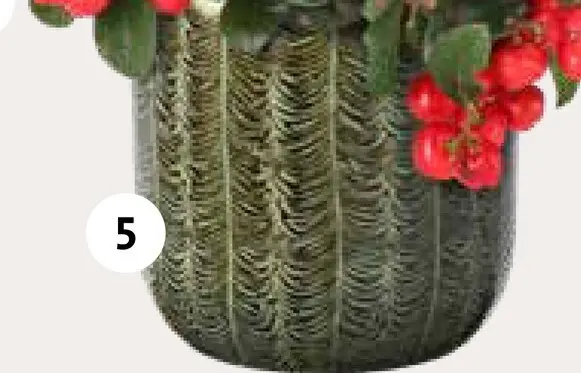 Aanbieding: Bloempot Onira