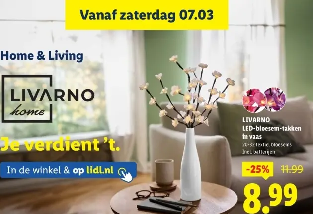 Aanbieding: LED-bloesem-takken in vaas