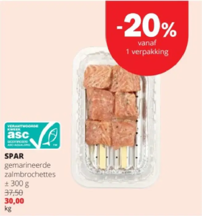 Promotie: Gemarineerde zalmbrochettes
