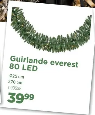 Offre: Guirlande everest 80 LED