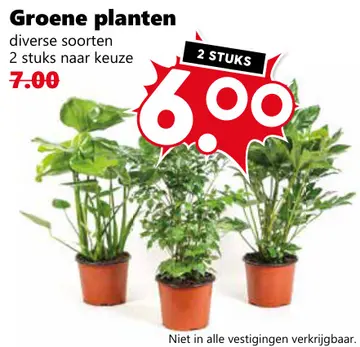 Aanbieding: Groene planten