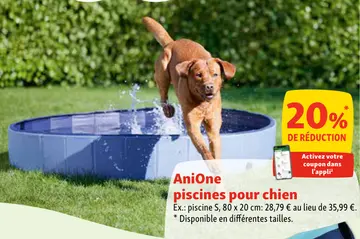 Offre: Piscines pour chien