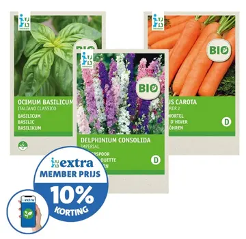 Aanbieding: Ocimum basilicum