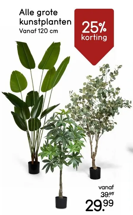 Promotie: Grote kunstplanten