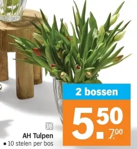 Aanbieding: Tulpen