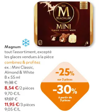 Offre: Magnum