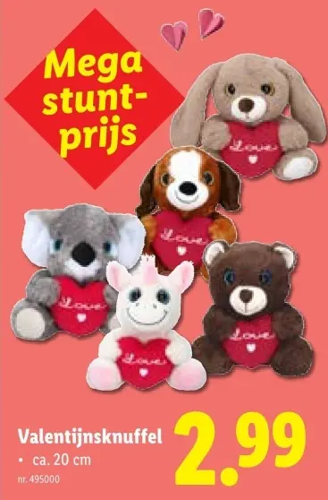 Promotie: Valentijnsknuffel