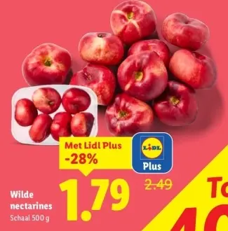 Aanbieding: Wilde nectarines
