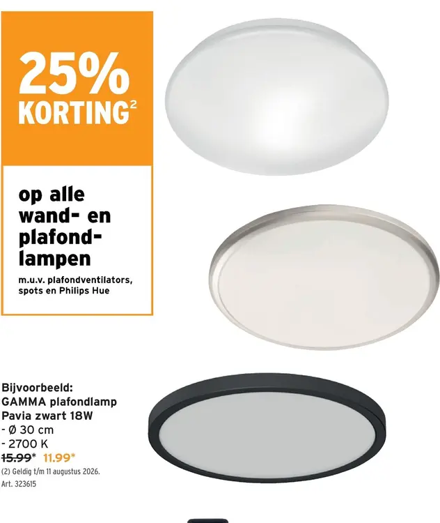 Promotie: GAMMA plafondlamp Pavia zwart